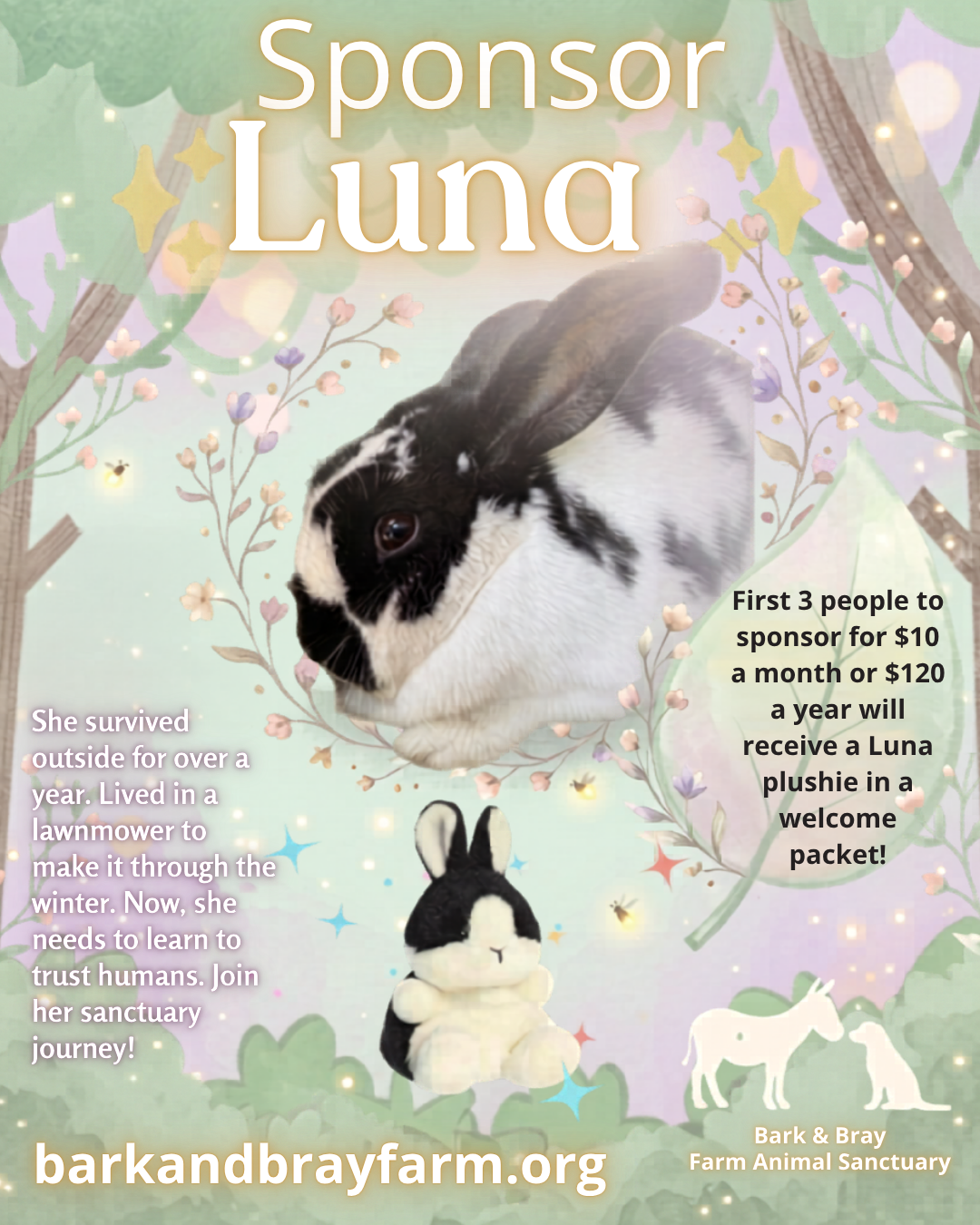 Campaign cover for Sponsor Luna the Bunny