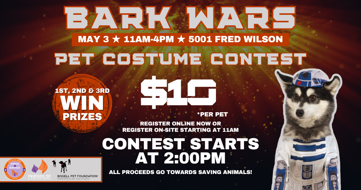 Campaign cover image for BARK WARS PET COSTUME CONTEST