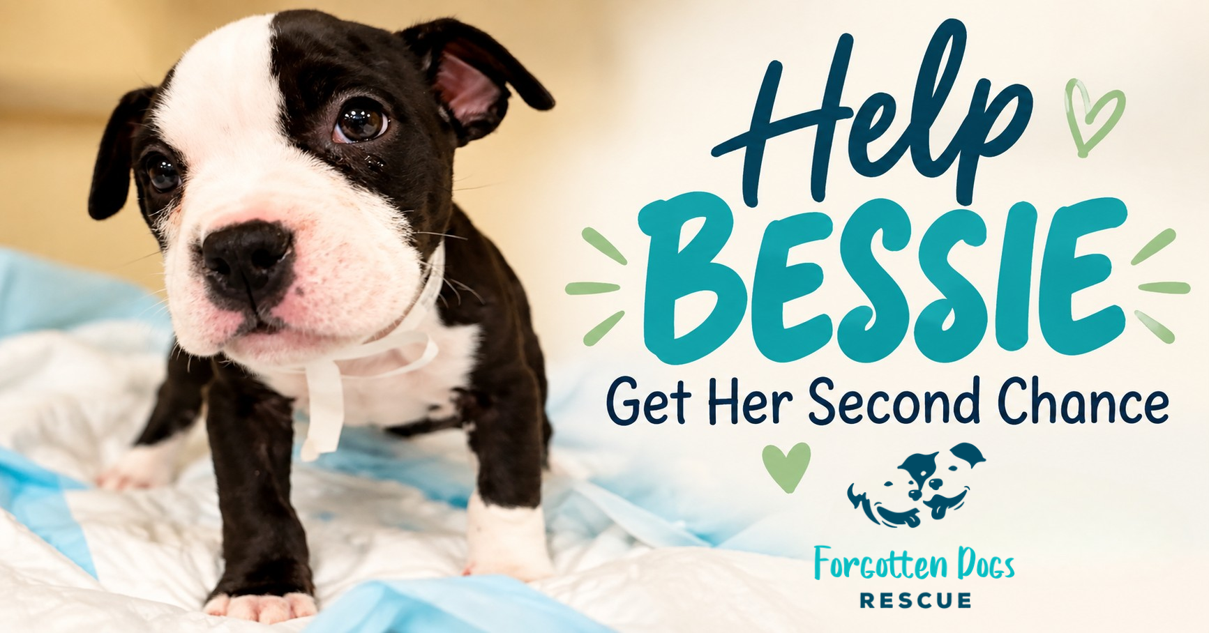 Campaign cover for Help Bessie Get Her Second Chance