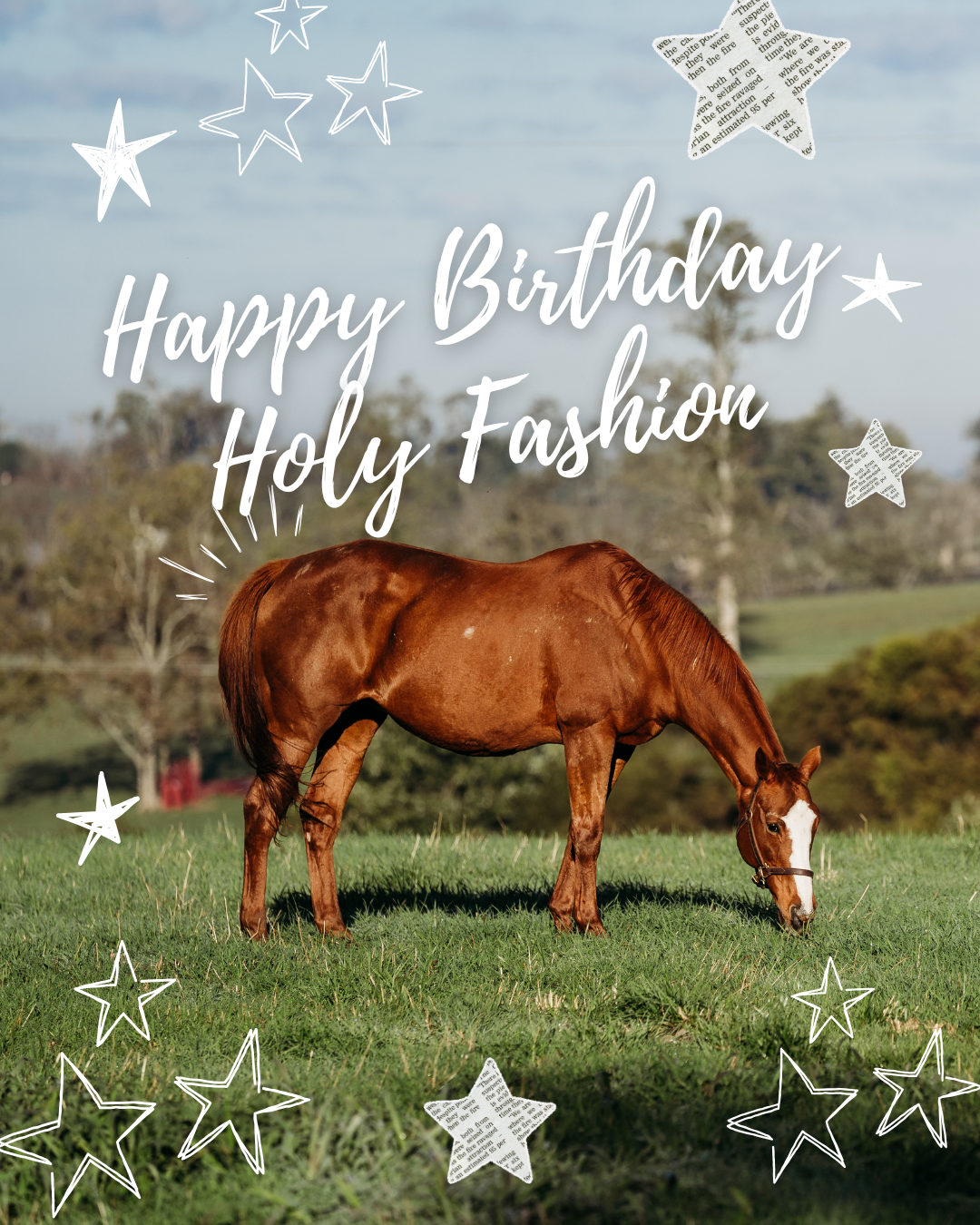 Campaign cover image for Holy Fashion Birthday
