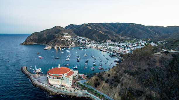 Campaign cover image for Catalina Day Trip 2025