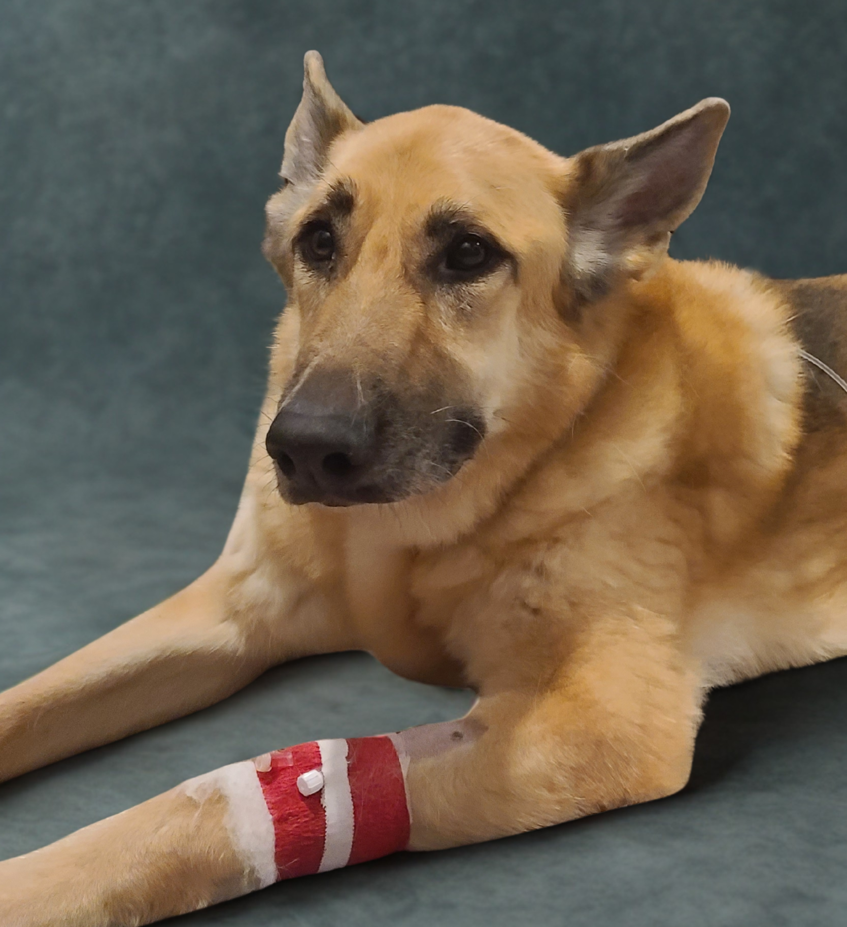 Campaign cover for Mason's Emergency Care