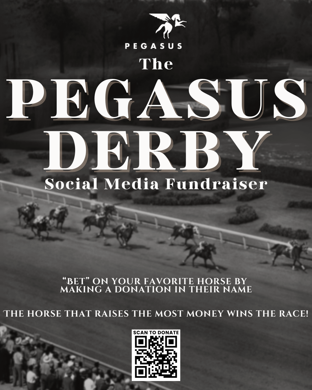 Campaign cover image for Pegasus Derby 2025