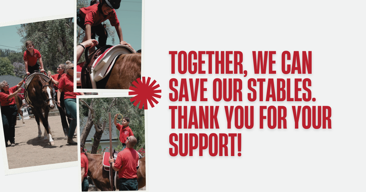 Campaign cover image for SOS - Save Our Stables