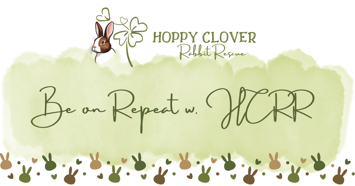 Campaign cover image for Be on Repeat with HCRR