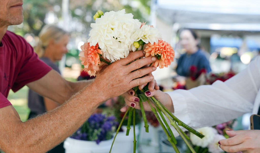 Campaign cover image for What We Grow Together