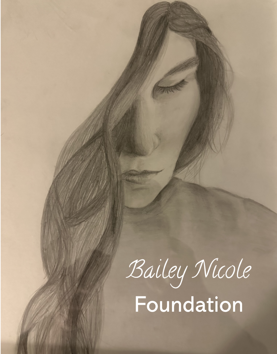 Campaign cover for Donate to the Bailey Nicole Foundation