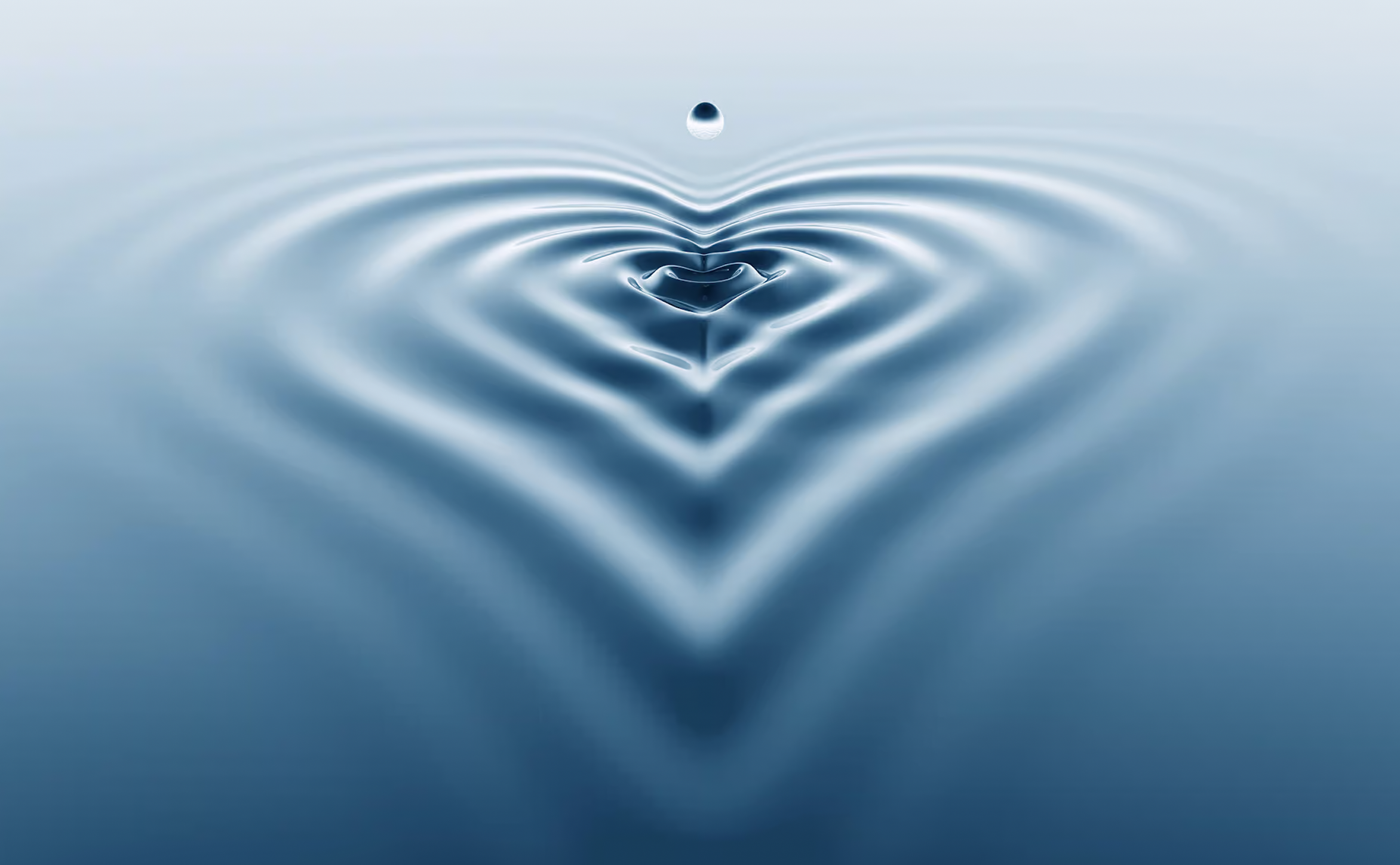 Campaign cover image for Pieces of Mary for Maui!