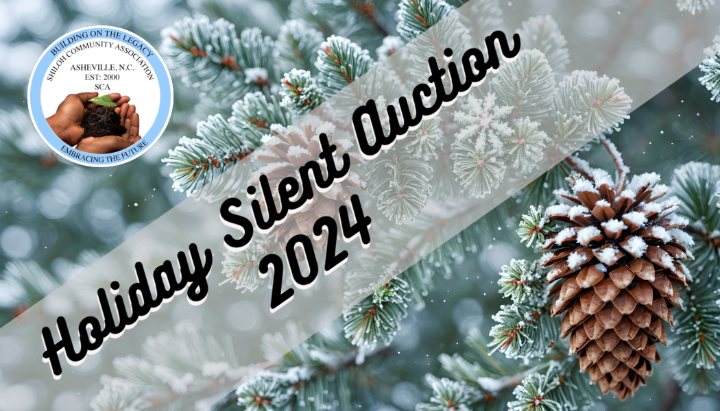 Campaign cover image for Holiday Silent Auction 2024