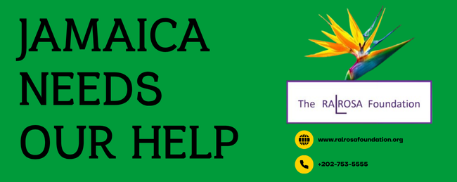 Campaign cover image for Rebuilding After Hurricane Melissa