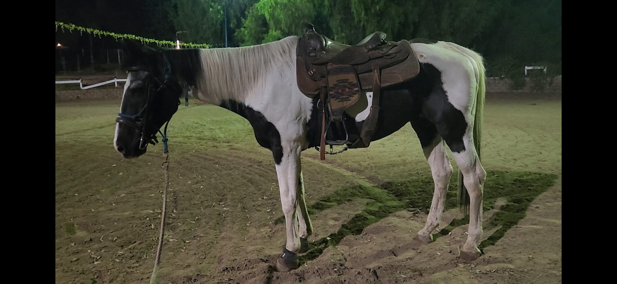 Campaign cover image for Let’s Bring the Sunshine Back to Sunny