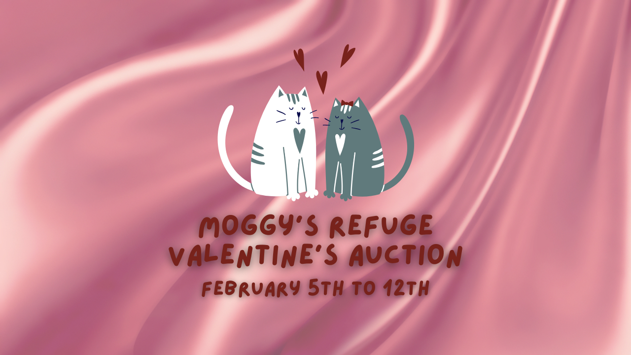 Campaign cover image for Moggy's Refuge 2025 Valentine's Auction