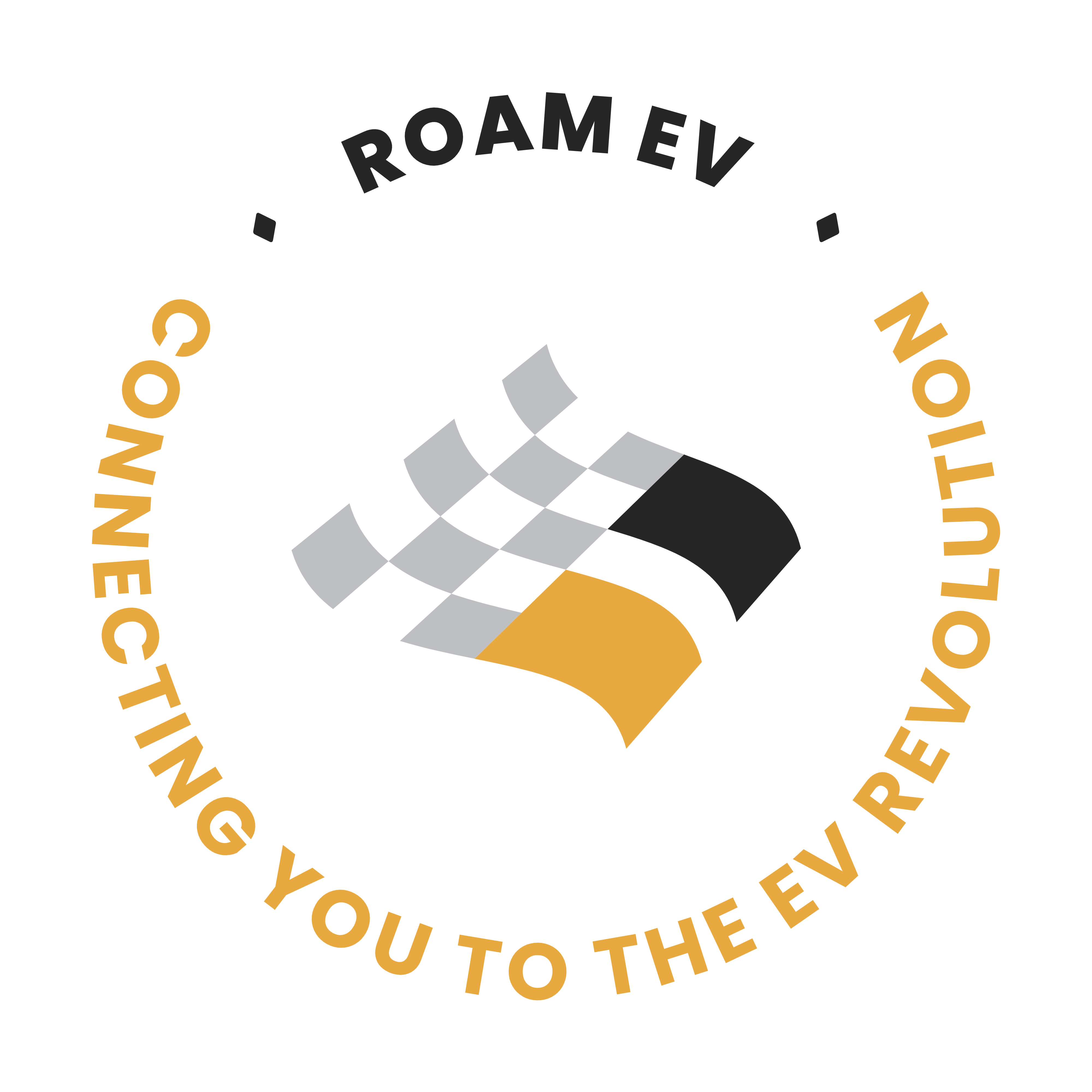 Campaign cover image for Roam EV: Fueling the Future of Fun EV Exploration!
