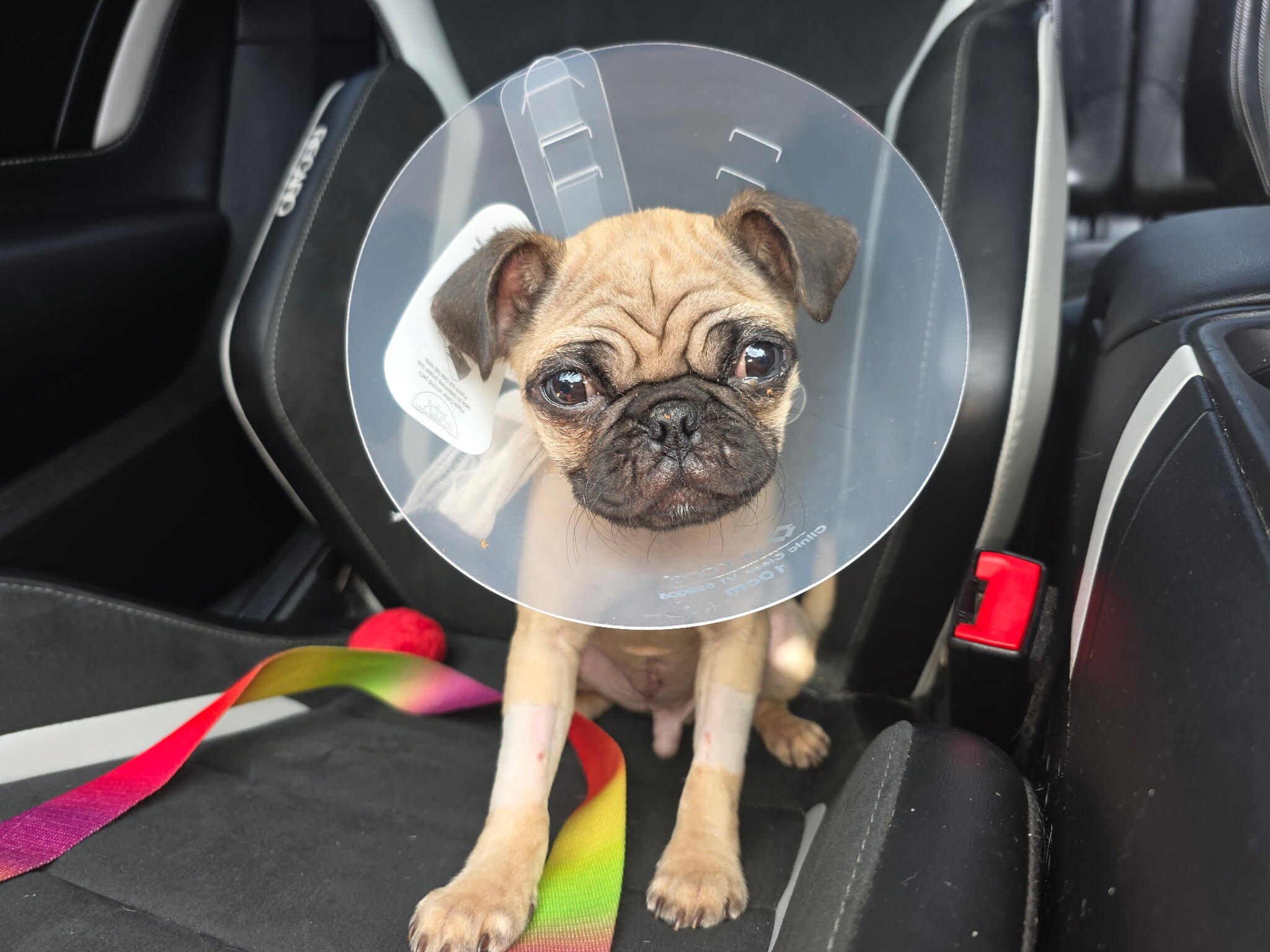 Campaign cover image for Help Give Christopher A Second Chance!