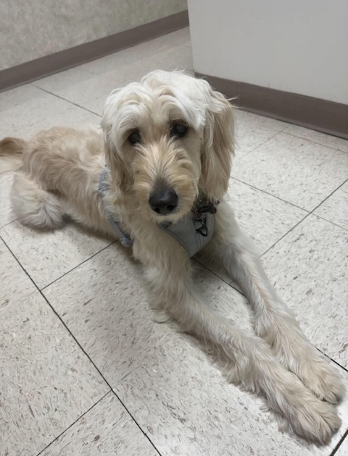 Campaign cover for Delyla