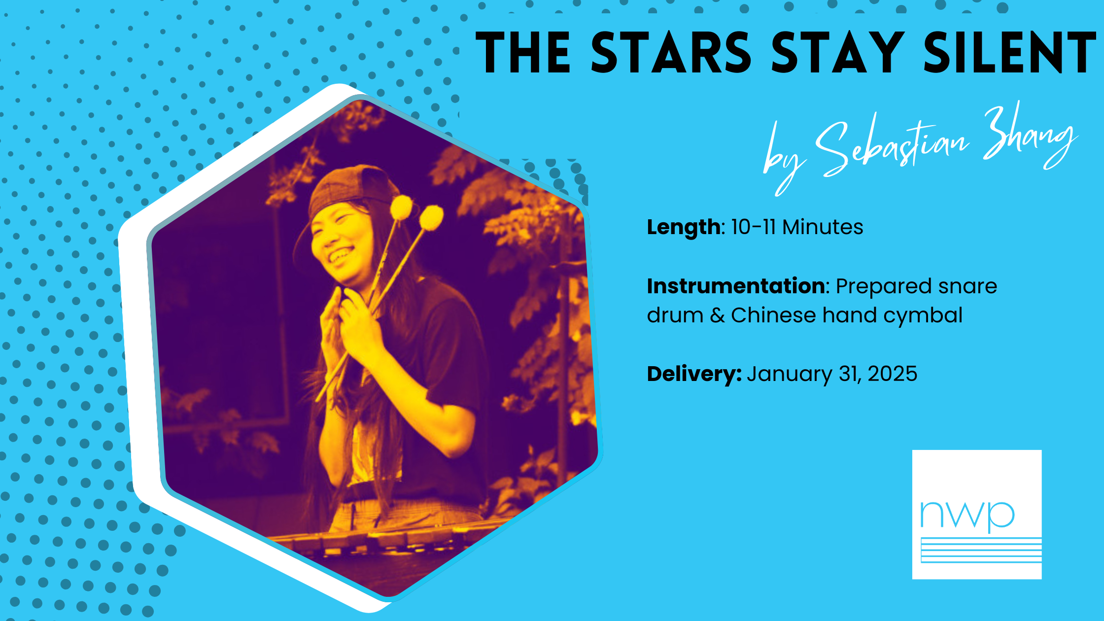 Campaign cover image for "the stars stay silent" by Sebastian Zhang