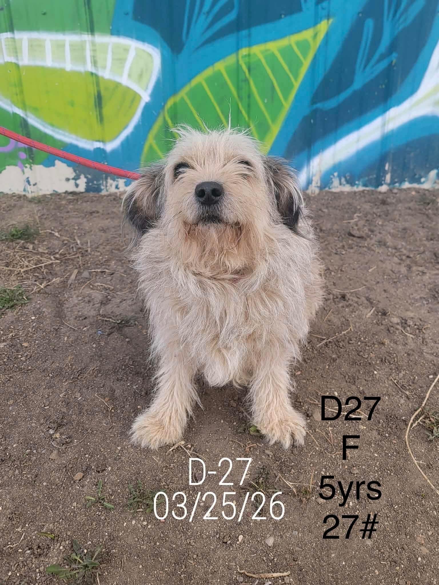 Campaign cover for Birdie’s Fight to Feel Better