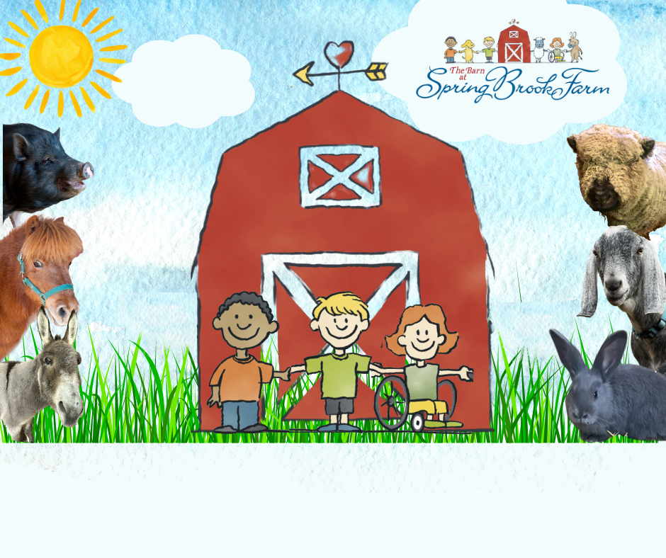 Campaign cover for Donation to The Barn at Spring Brook Farm