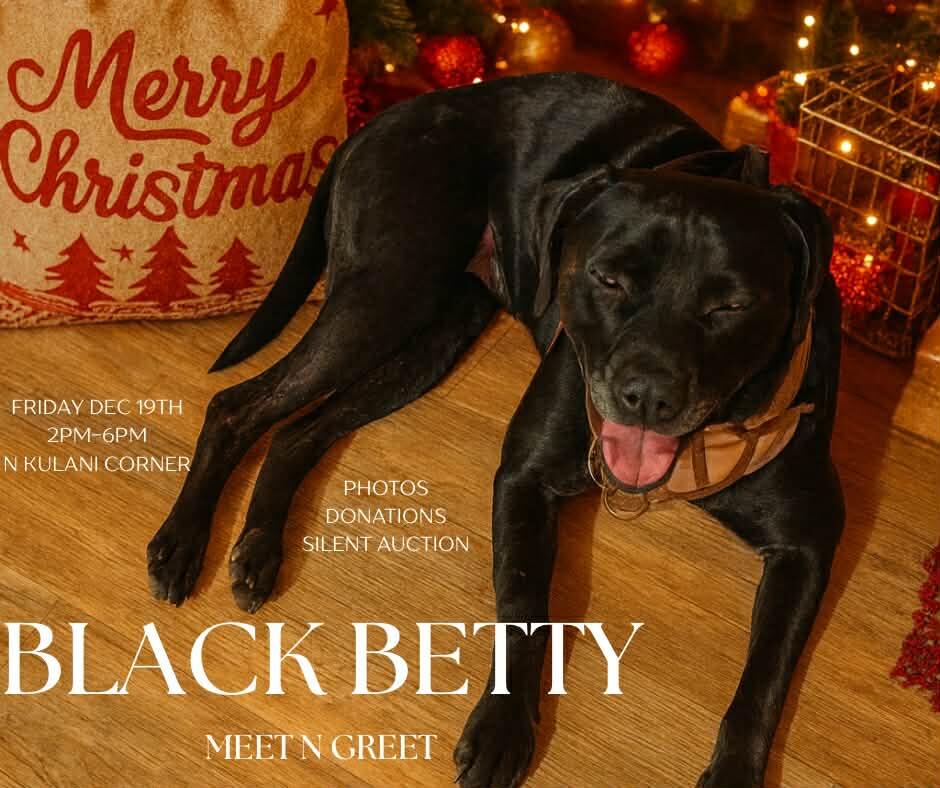 Campaign cover image for Black Betty Holiday Meet n Greet