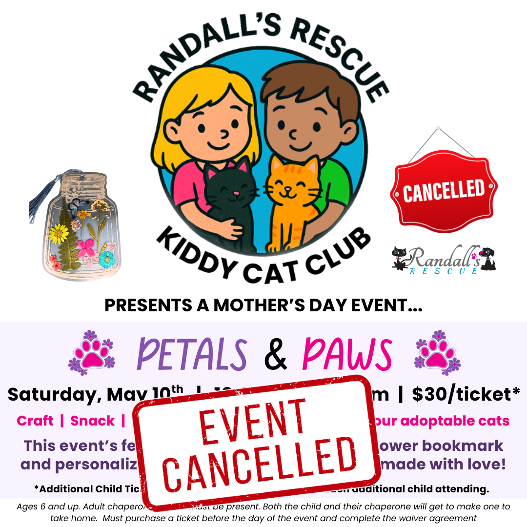 Campaign cover image for KIDDY CAT CLUB presents A MOTHER'S DAY EVENT