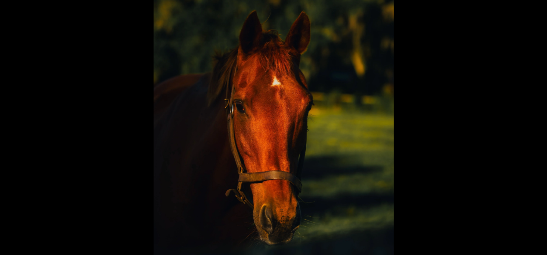 Campaign cover image for Sponsor Jamz