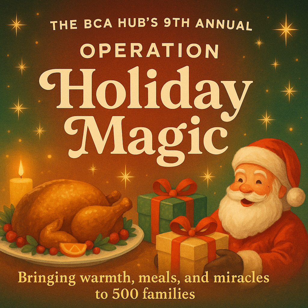 Campaign cover image for Operation Holiday Magic