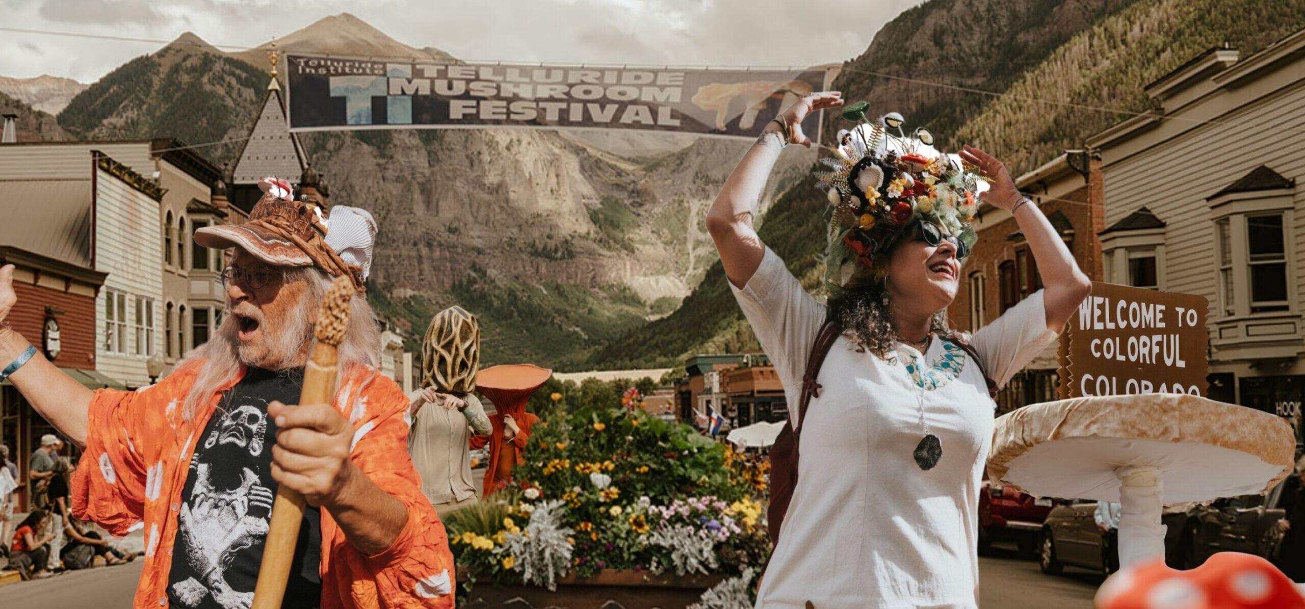 Campaign cover image for Telluride Mushroom Festival Future Fund