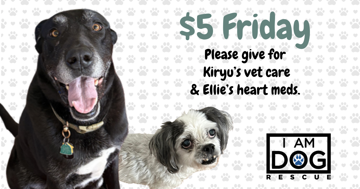 Campaign cover image for $5.00 Friday for Kiryu & Ellie
