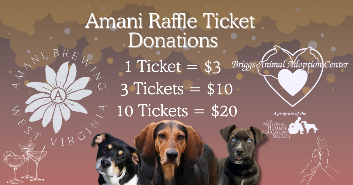 Campaign cover image for Amani Brewing Raffle Tickets