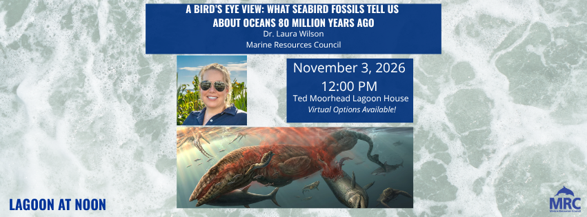 Campaign cover image for November 2026 Lagoon at Noon