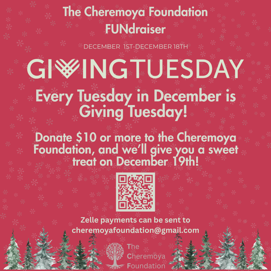 Campaign cover image for Giving Tuesday 2025