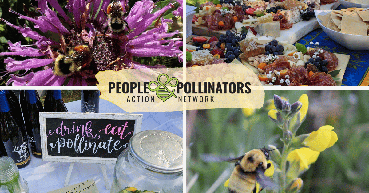 Campaign cover image for 🐝 *Bee* Part of PPAN's 10th Annual Bumble Bee Bash! 🥂