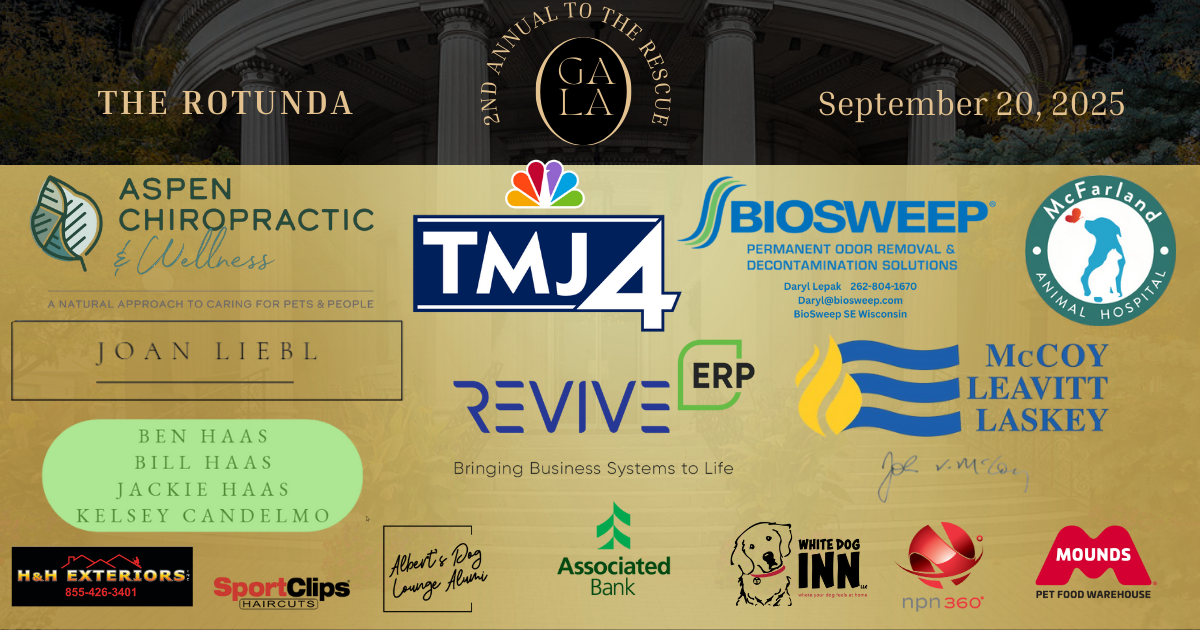 Campaign cover image for To the Rescue Gala