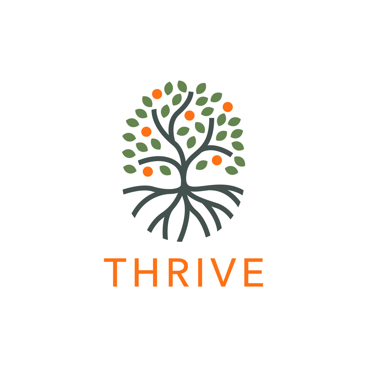 Campaign cover image for THRIVE DISCOVERY
