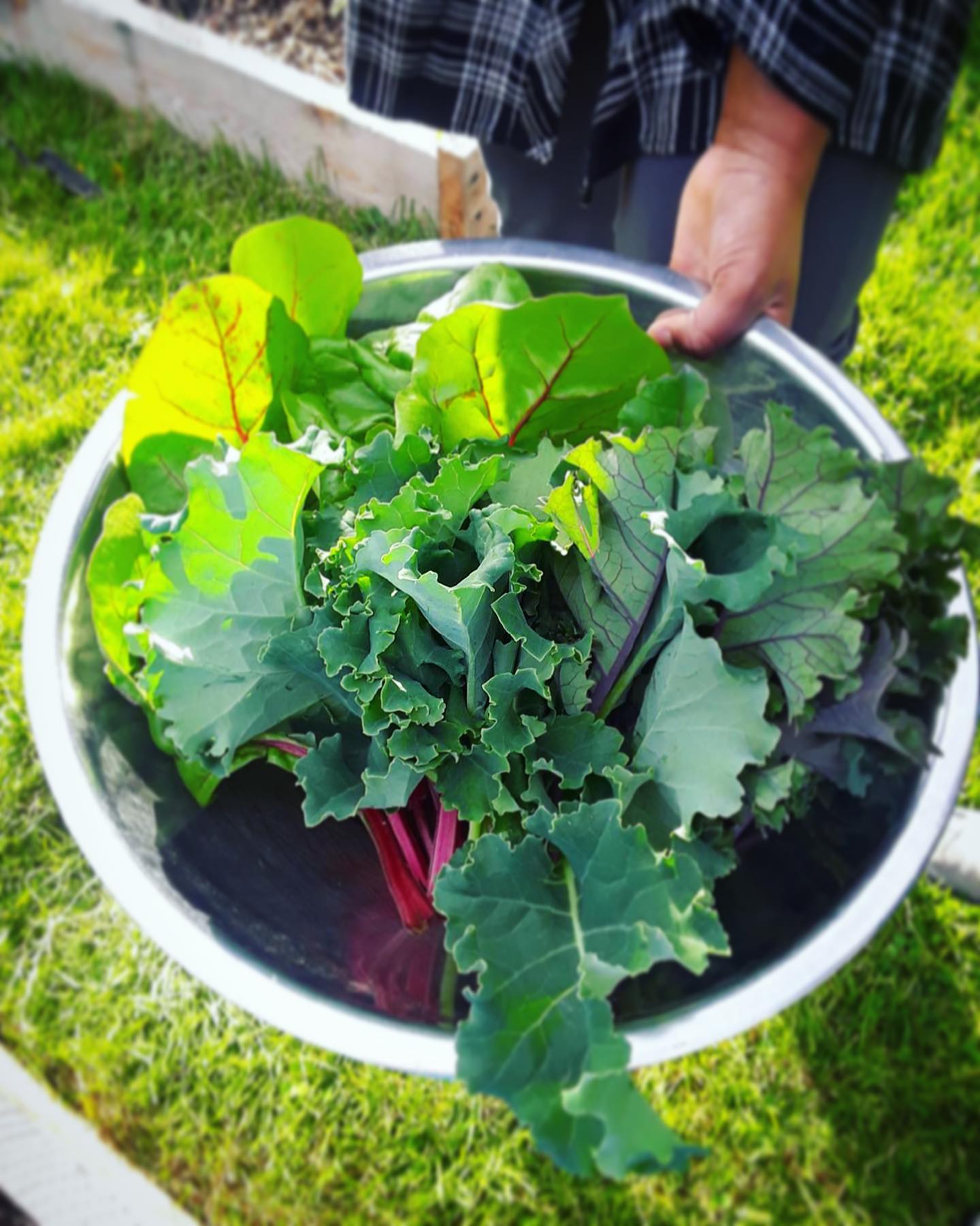 2023-foodscapes-garden-project-build-team-campaign