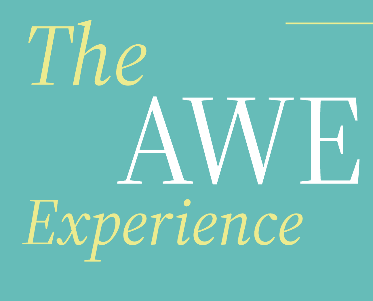Campaign cover image for 3 Day AWE  Experience Investor