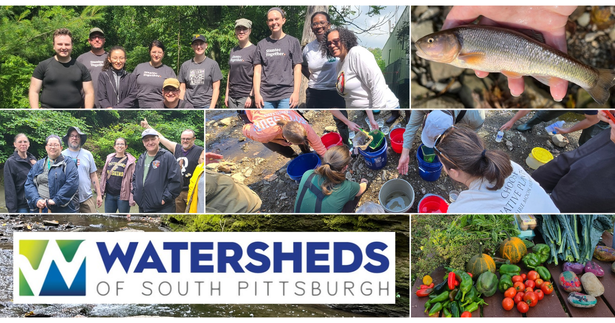 Campaign cover image for 2026 WoSPgh Donation Drive