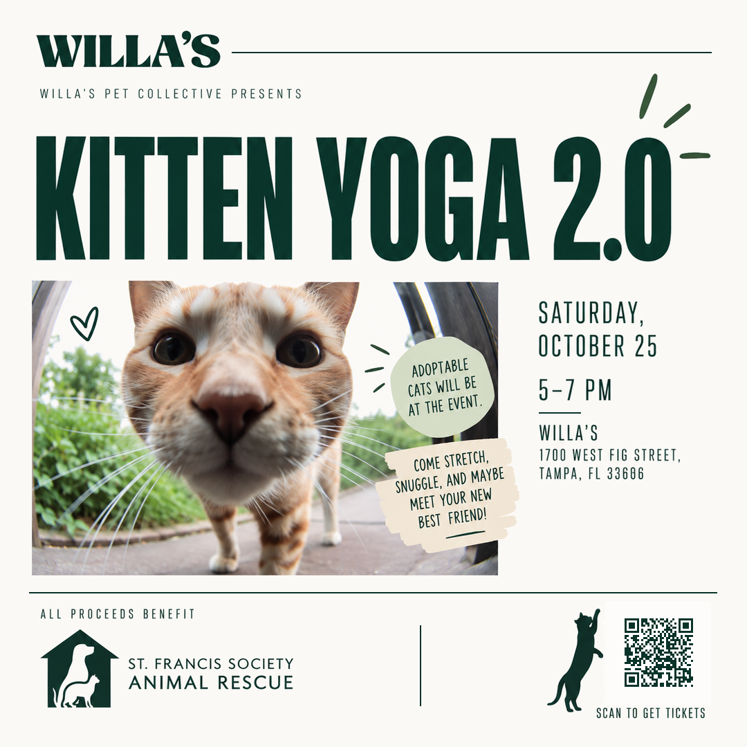 Campaign cover for Willa's - Kitten Yoga 2.0