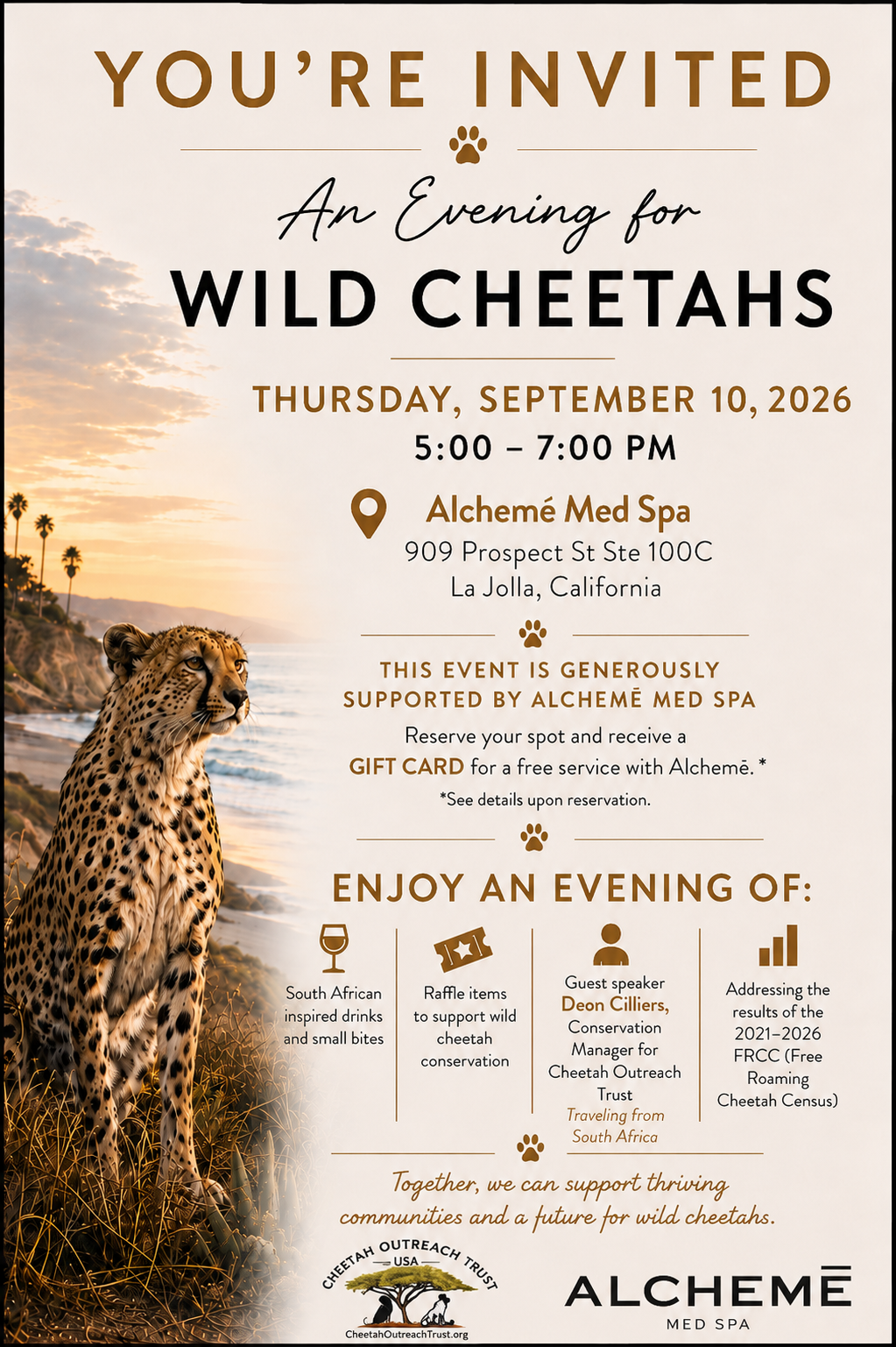 An Evening for Wild Cheetahs