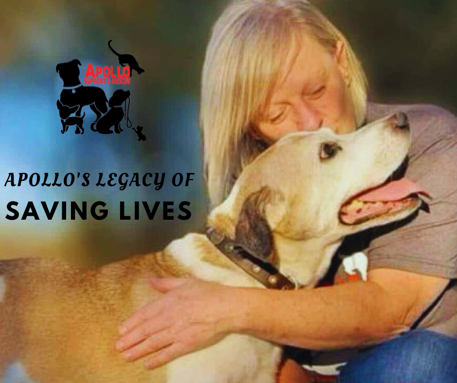 Apollo's Tribute Page | Apollo Support & Rescue Inc
