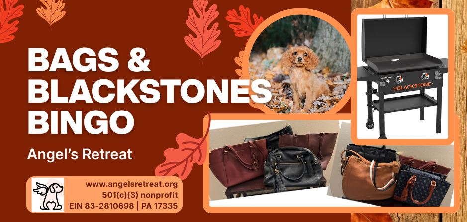 Campaign cover image for Bags and Blackstones Bingo 2026