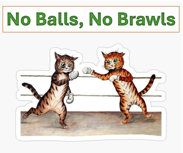 Campaign cover image for No Balls, No Brawls