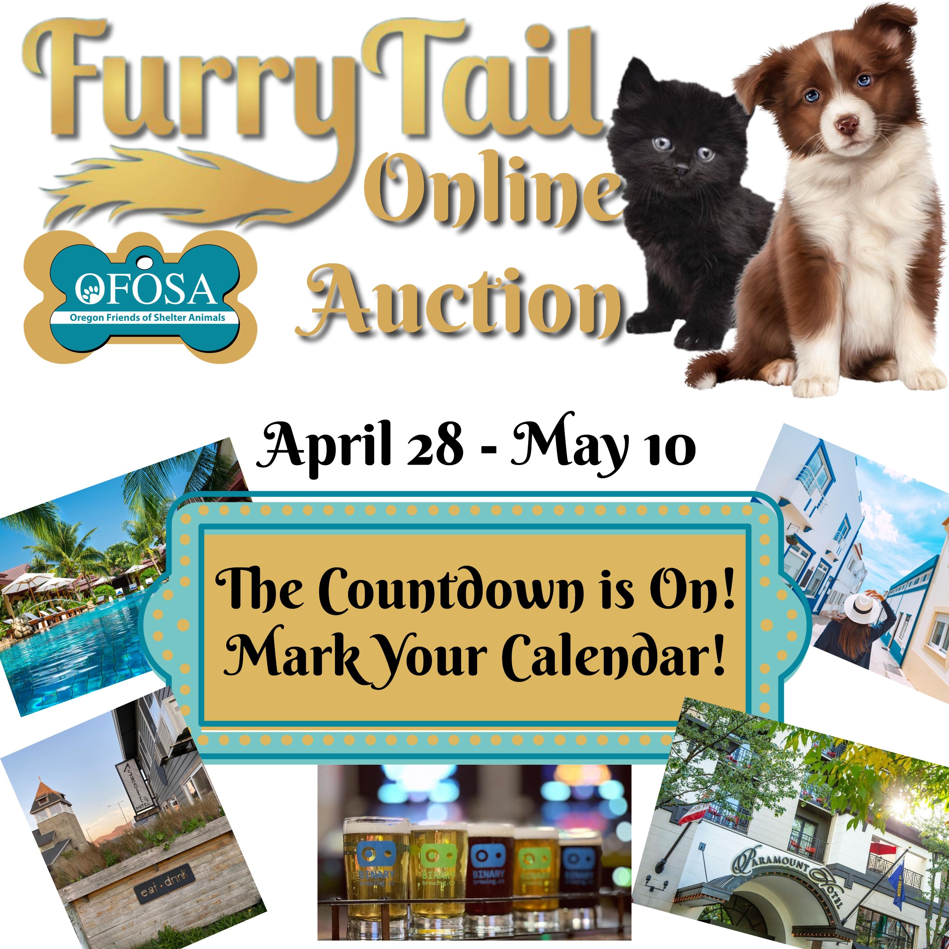 Campaign cover image for Furry Tail Online Auction