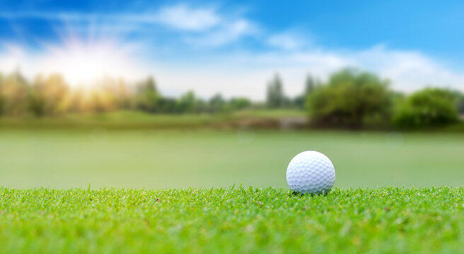 Campaign cover image for Wax Fire and Rescue 2nd Annual Golf Scramble