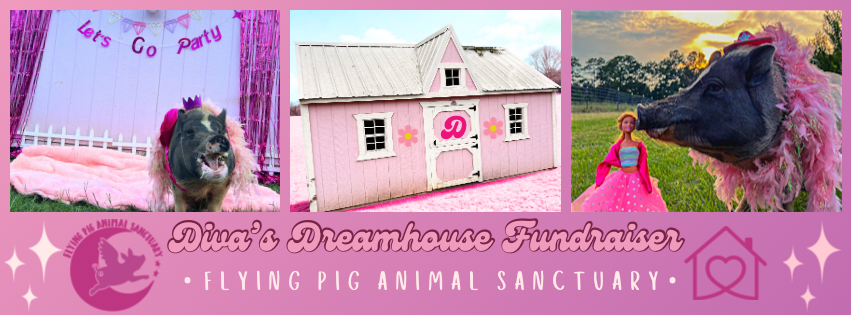 Campaign cover image for Diva's Dreamhouse Fundraiser