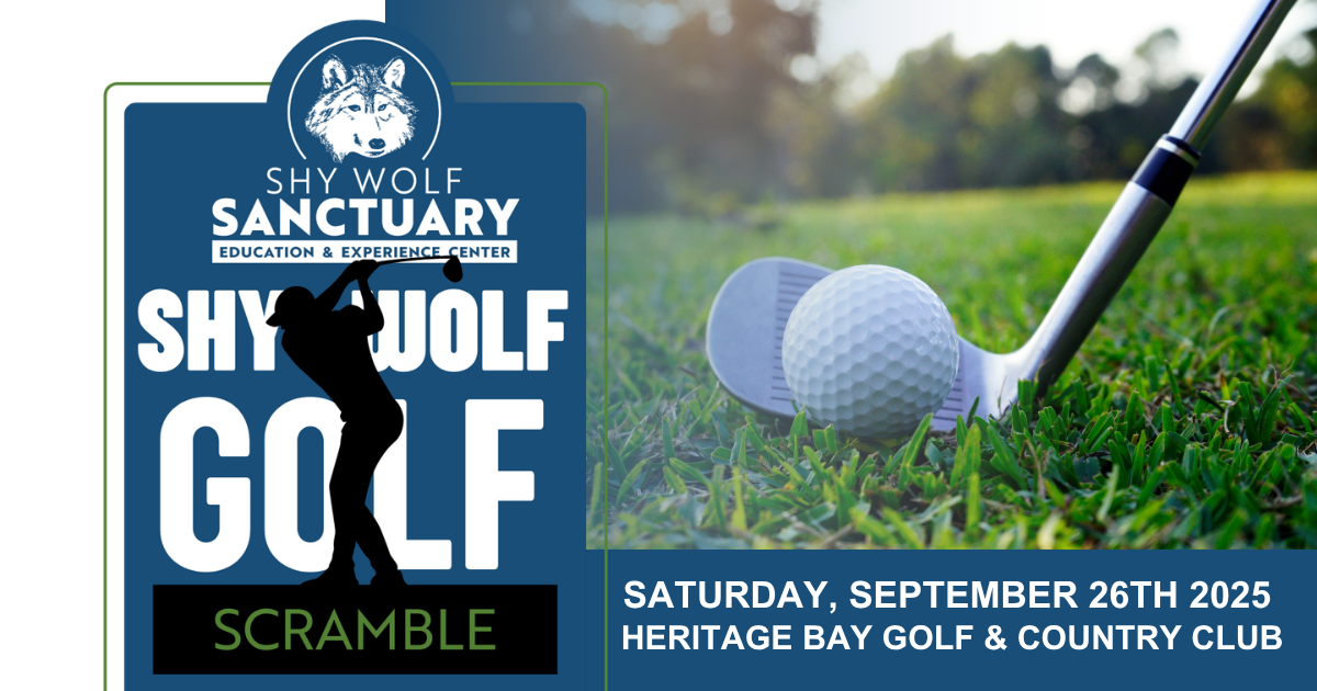 Campaign cover image for Shy Wolf Golf Scramble 2026