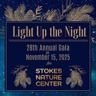 Campaign cover image for 2025 Light Up the Night Gala and Silent Auction