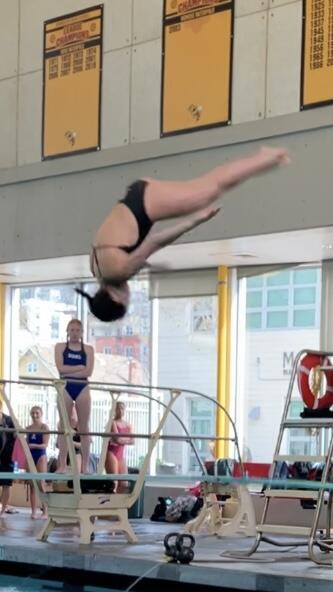 Campaign cover image for 2027 Diving