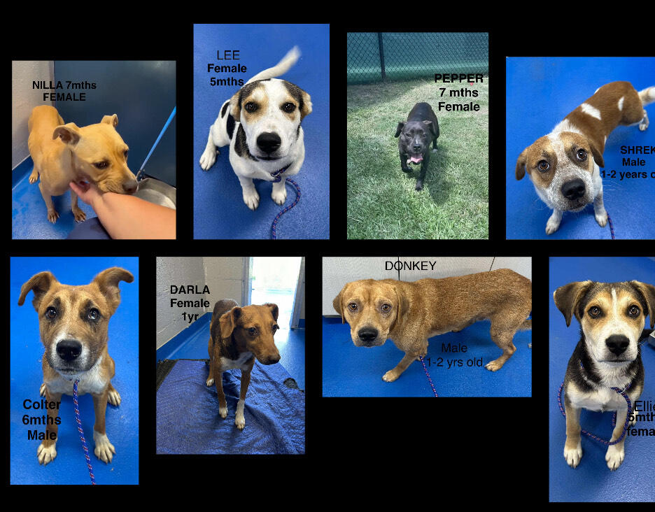 Campaign cover image for JUNE 27 2025