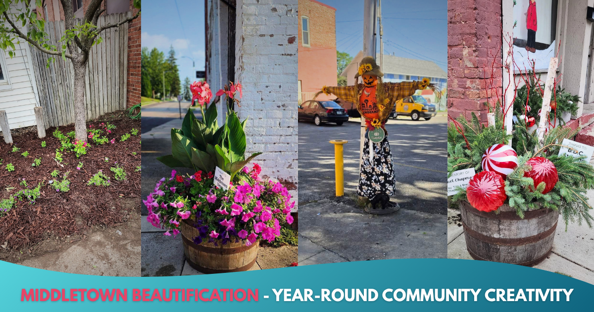 Campaign cover image for Downtown Beautification Committee